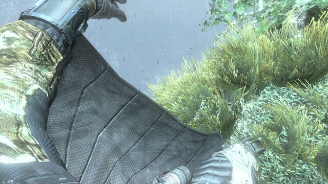 File:Wingsuit BOII.jpg