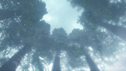 Frozen Forest BO3