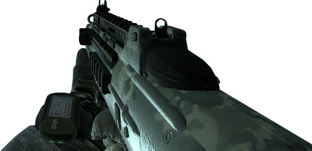 File:F2000 Woodland MW2.png