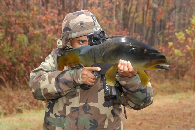 File:Fish.jpg