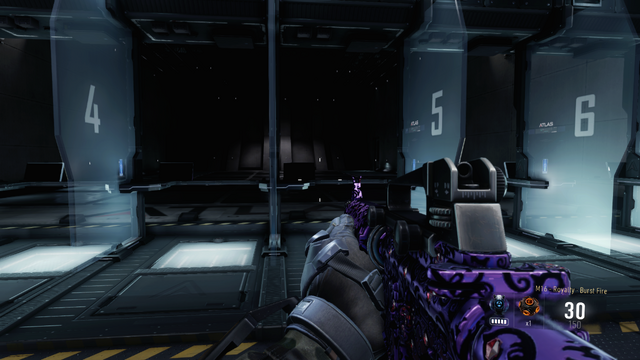File:M16 Royalty AW.png