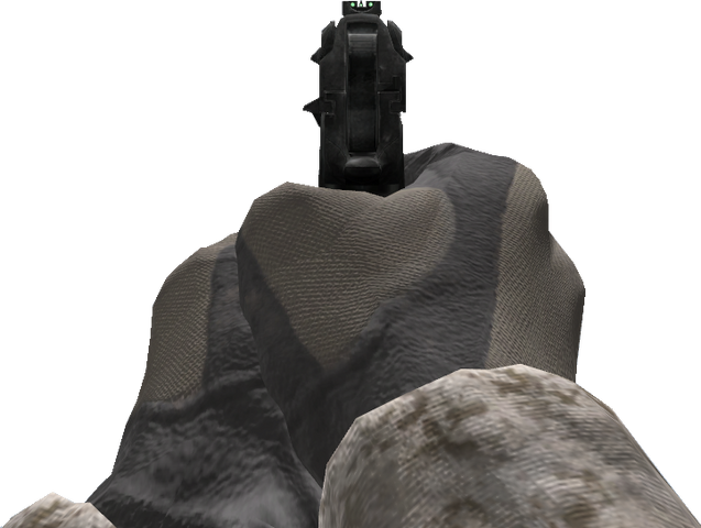 File:M9 Iron Sights CoD4.png