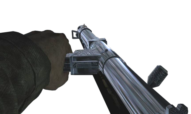 File:T100 PaP WaW.png