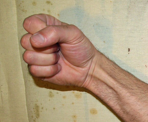 File:Fist.jpg