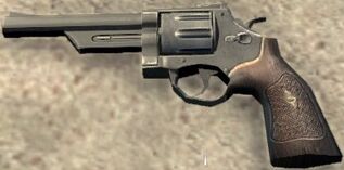Model 29