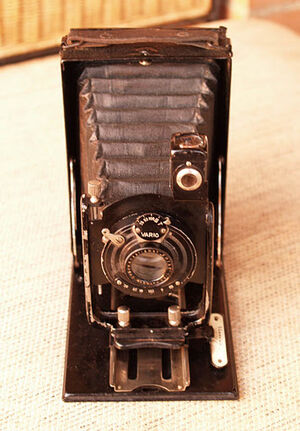 Beier edith 2