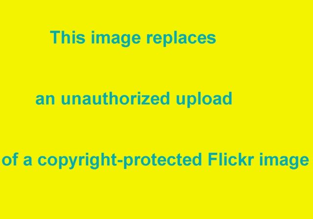 File:Unauthorized upload.jpg