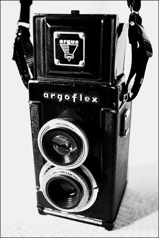 File:Argoflex.jpg