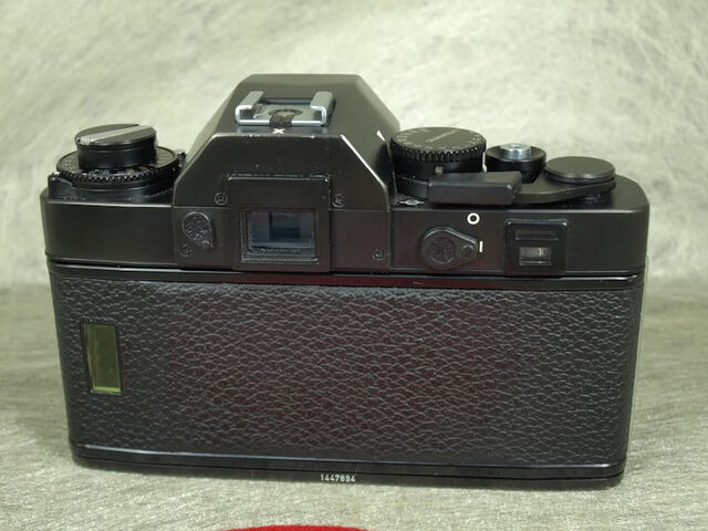 File:P7253428.jpg