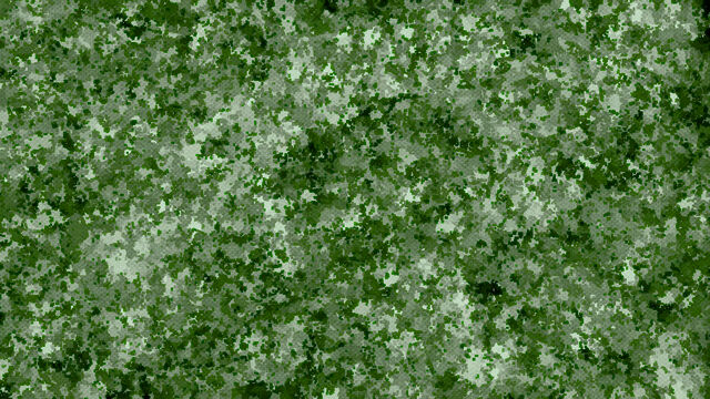 File:Forest Spots.jpg