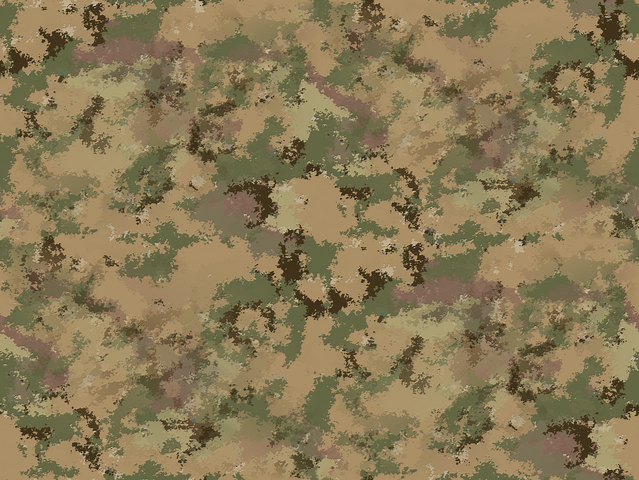 File:ECP-8-T Charlie.png