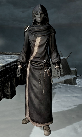 File:TESV Aranea.png