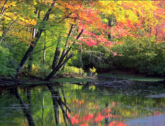 File:Ayer-lake.jpg