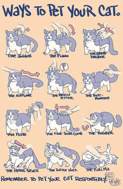 Petresponsibly