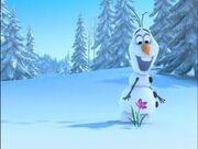 Olaf