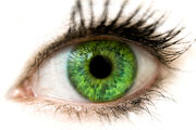 Light-Caster-Eye