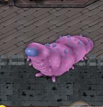 File:Pet Rotten-corpse-bug.jpg