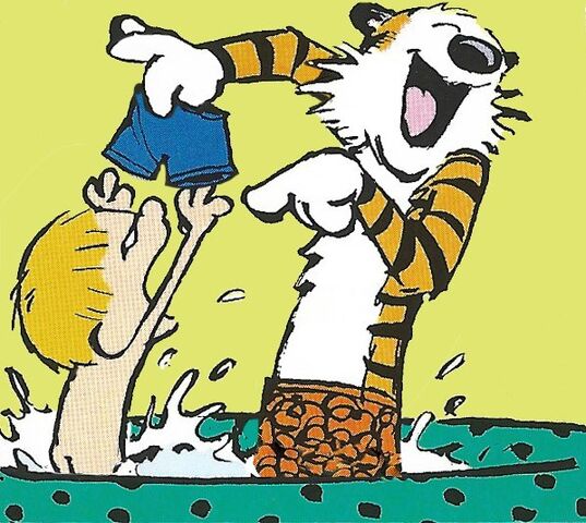 File:Calvin&HobbesTubPlay.jpg