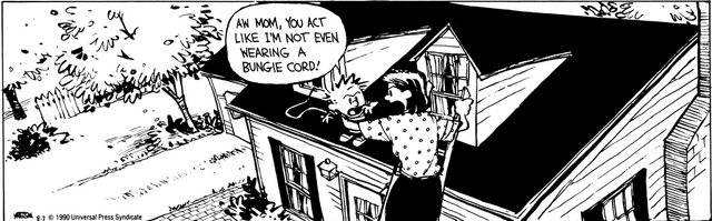 File:Bungeecord.png