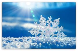 Snowflake-t2