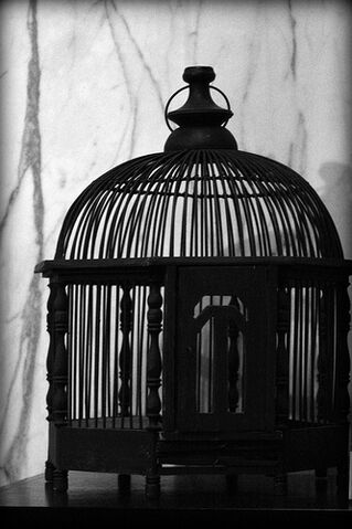 File:Empty Cage.jpg