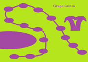 Grape Grotto