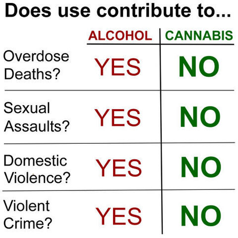File:Alcohol versus cannabis.jpg
