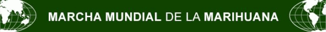 File:Argentina 2010 GMM 5.gif