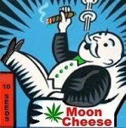 Moon Cheese Art