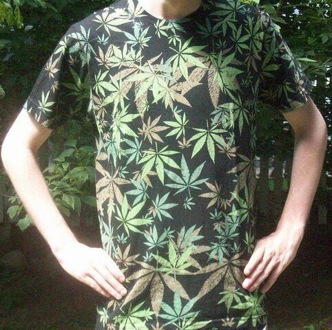 File:Promo shirt shot.jpg