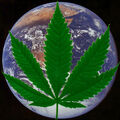 Thumbnail for version as of 07:15, March 8, 2012