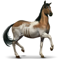 File:30chingotigepony(rare).png