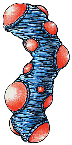 File:Section Z Spratter.png