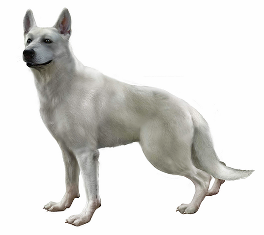 File:HauntingHewie.png