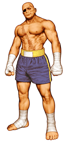 File:CapVsSNKSagat.png
