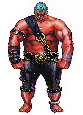 File:StreetFighterHakan.png