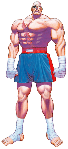 File:SSFIISagat.png