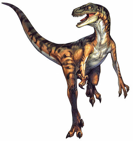 File:DCVelociraptor.png