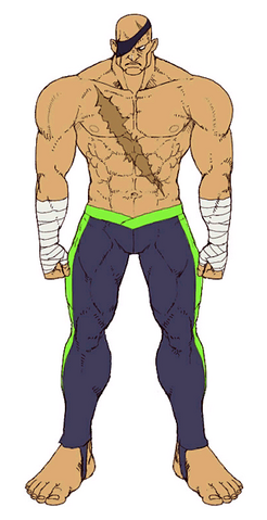 File:SFIVSagatAltCostume.png