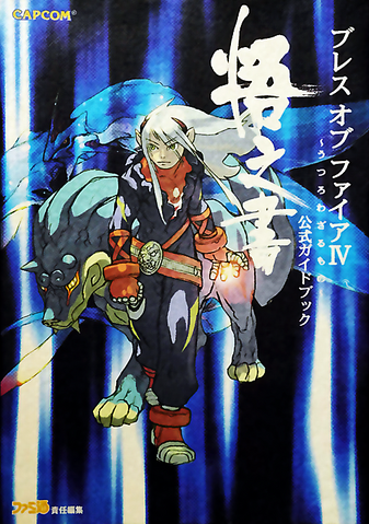 File:BoFIV Guidebook.png