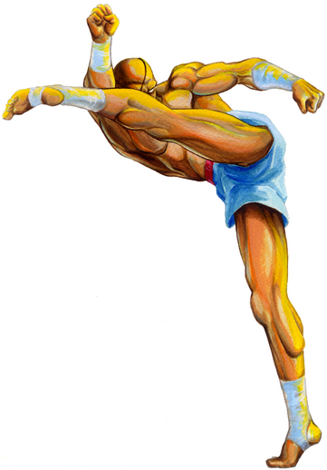 File:SFII Sagat.png