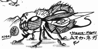 File:19. Musca-Nega.jpg
