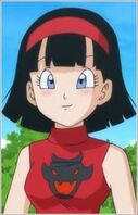 Videl.jpg