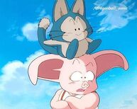 Oolong y puar