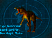 Big sucho
