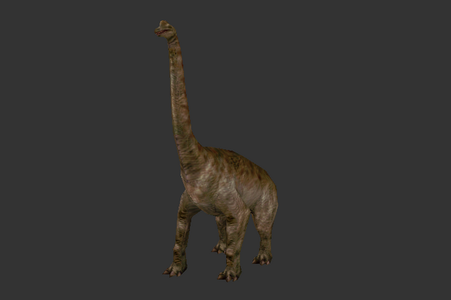 File:Hqbrach.png