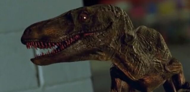 File:Velociraptor 2012 01.jpg