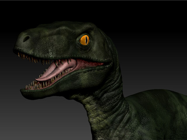 File:Raptor-5.jpg