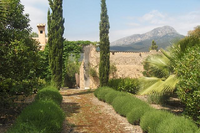Anselme winery