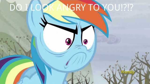 File:Rainbow Dash angry meme.jpg